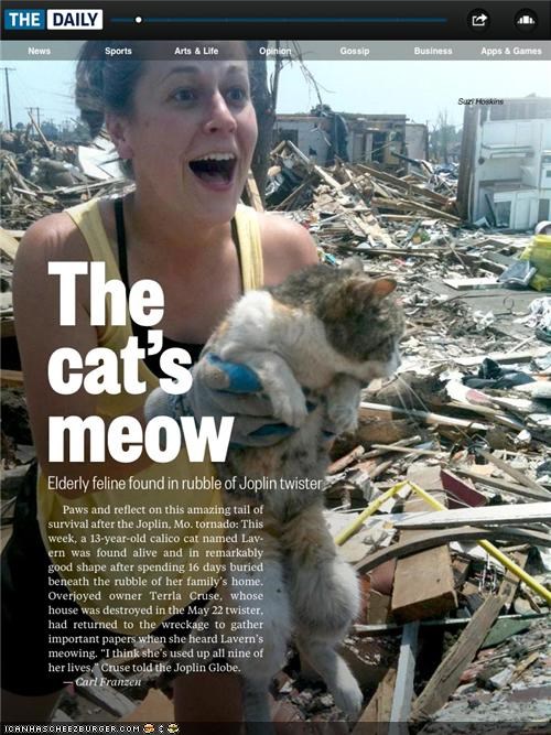 Kitteh Survives 16 Days Trapped Under Rubble after Tornado