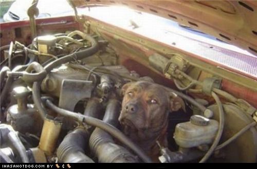 A Little Halp?