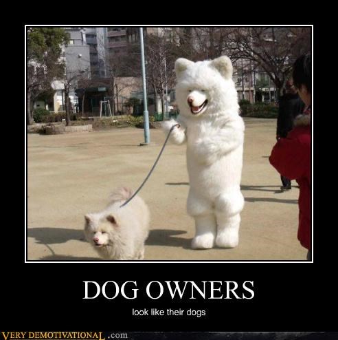 DOG OWNERS