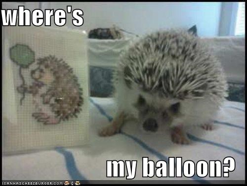 where's  my balloon?