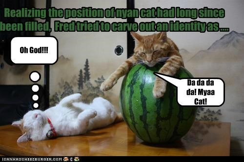 Realizing the position of nyan cat had long since been filled,  Fred tried to carve out an identity as ....
