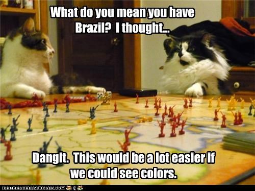 This is why cats don't play board games