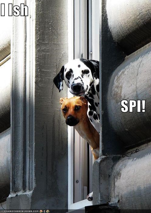 I Ish SPI!