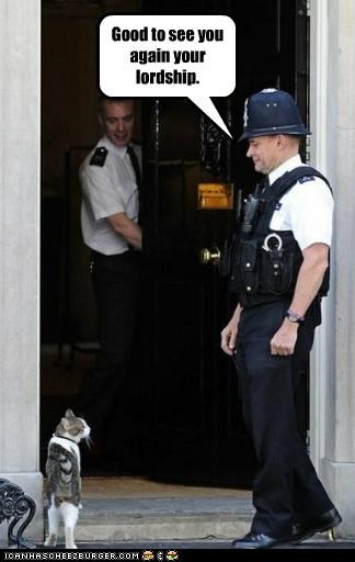 Good to see you again your lordship.