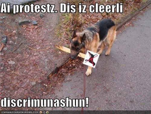 Ai protestz.