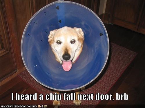 I heard a chip