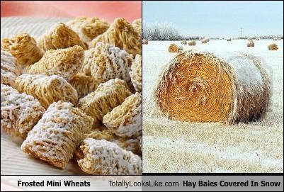 Frosted Mini-Wheats Totally Look Like Hay Bales Covered In Snow