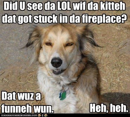Nipper has a chuckle