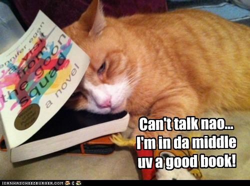 Can't talk nao... I'm in da middle uv a good book!