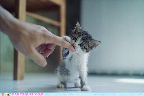 Finger-Nomming Good!