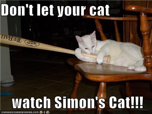 Don't let your cat