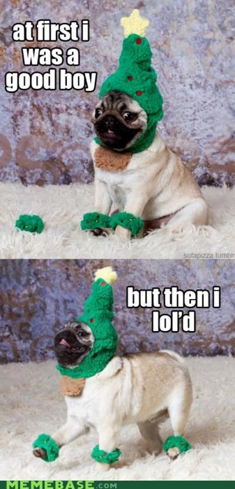 At First I Was Pug