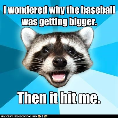 Lame Pun Coon: All a Matter of Perspective
