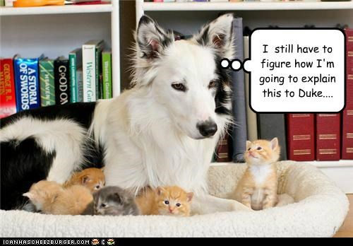 I  still
