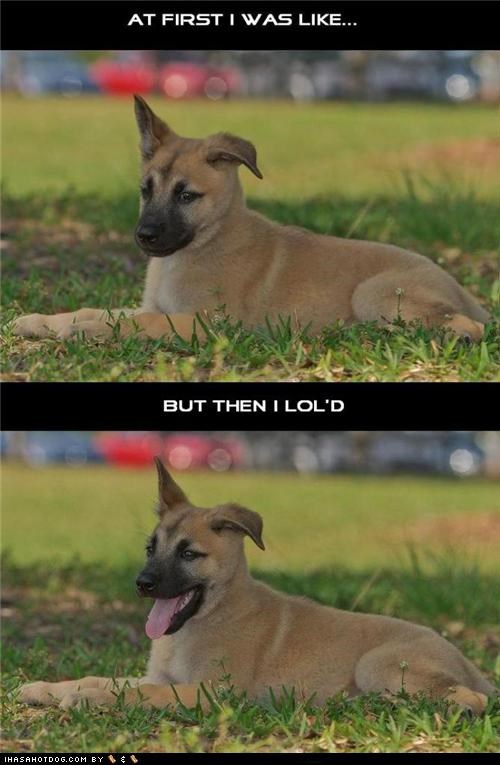 LOL'D