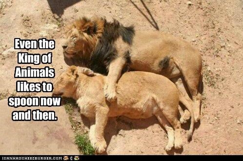 Even the King
