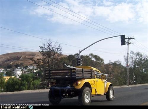 The Beetle Keeps Evolving