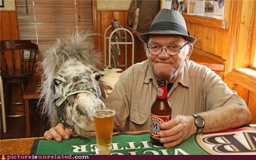 My Pony Needs a Beer