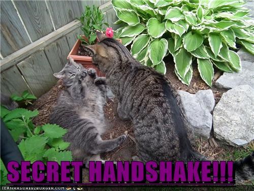 SECRET HANDSHAKE!!!
