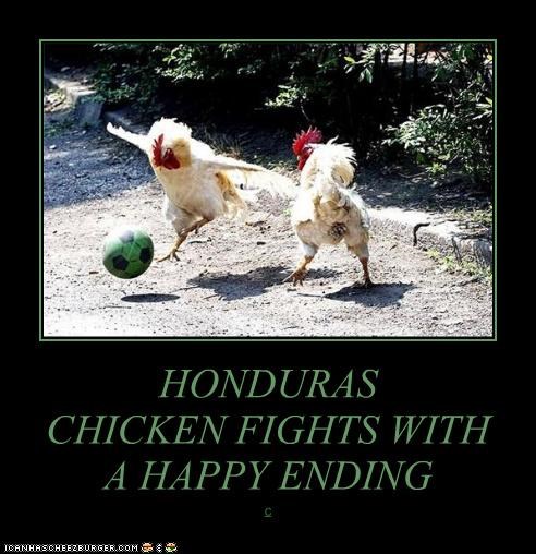 HONDURAS
CHICKEN FIGHTS WITH
A HAPPY ENDING