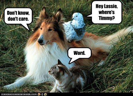 Caring is for the birds