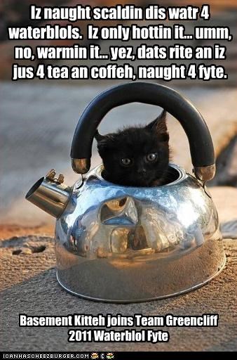 Iz naught scaldin dis watr 4 waterblols.  Iz only hottin it.. umm, no, warmin it.  Yez dats it an iz jus 4 tea an coffeh naught 4 fite.