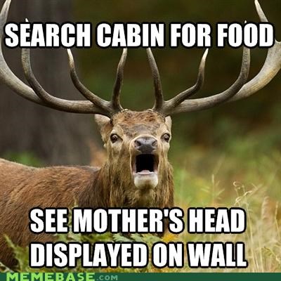 Horrified Elk