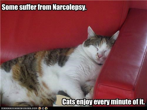 Some suffer from Narcolepsy.