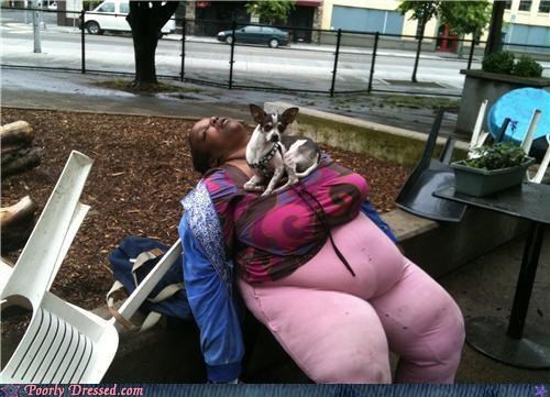 Taking the Dog Out for a Nap