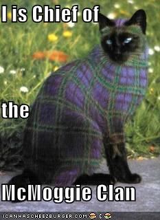 I is Chief of the McMoggie Clan