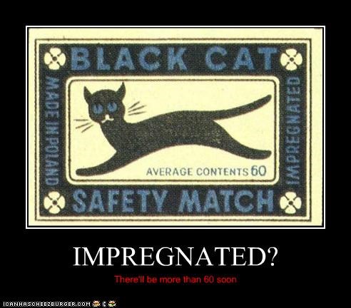 IMPREGNATED?