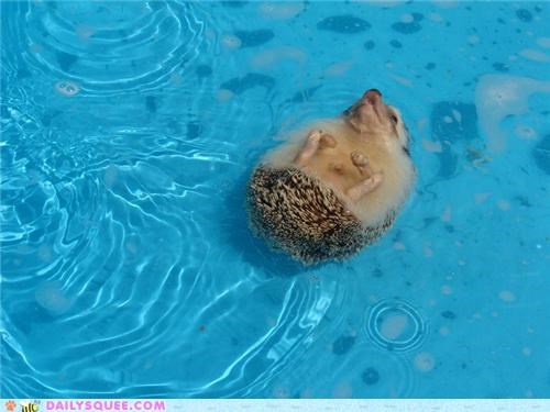 Living the life