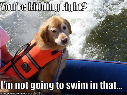 You're kidding right?  I'm not going to swim in that...