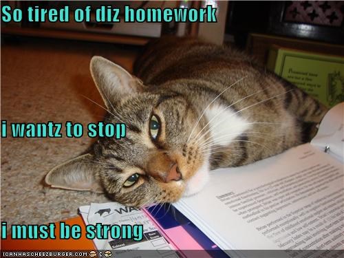 So tired of diz homework i wantz to stop i must be strong
