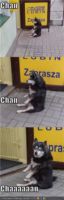 Chan Chan Chaaaaaan