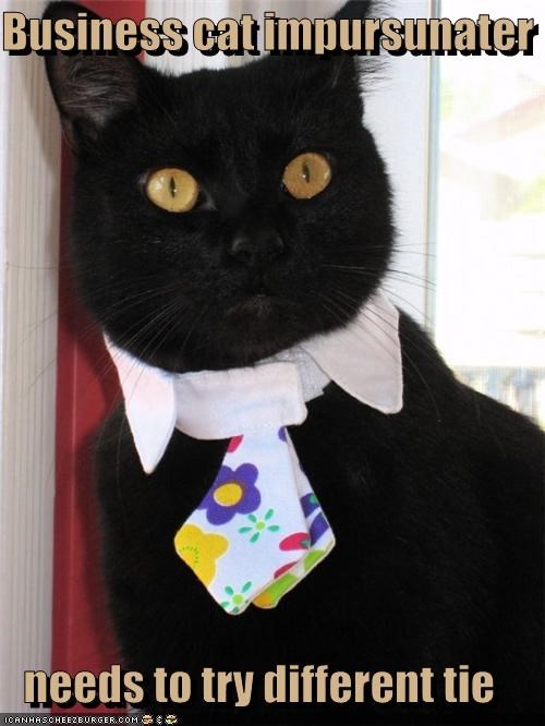 Business cat impursunater  needs to try different tie