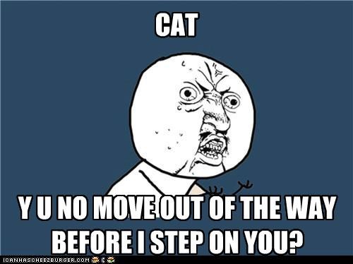 Y U No Observant!?