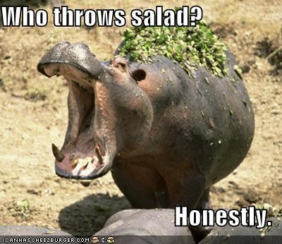 Who throws salad?  Honestly.