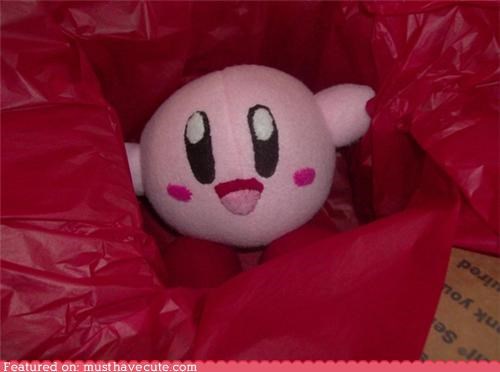 Kirby Plushy