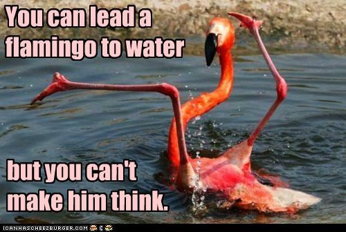 You can lead