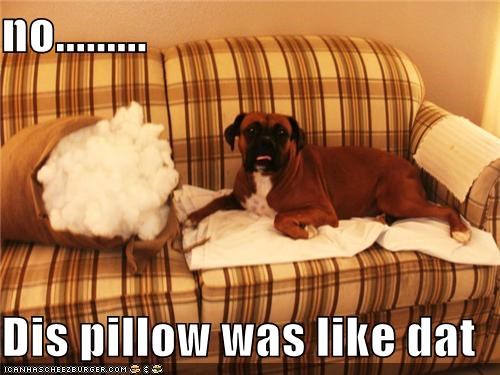 no.........  Dis pillow was like dat