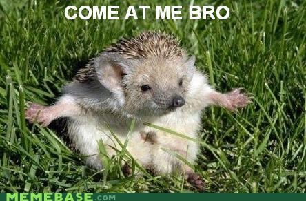 Sonic's Still Got Attitude
