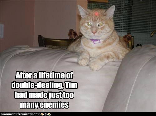 Kitteh Sniper