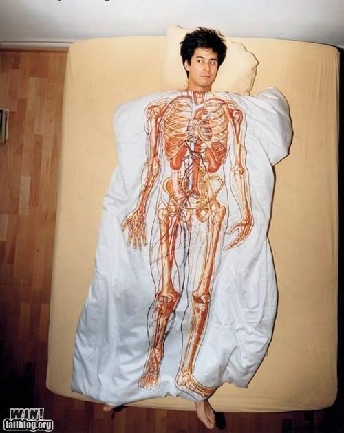 Anatomy Blanket WIN