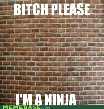Ninja, Please