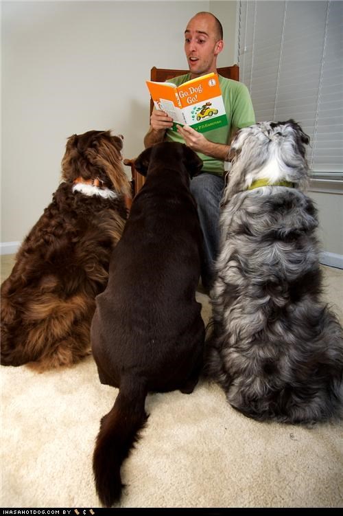 Readz Us a Storee!