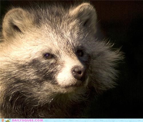 Squee Spree: Lost in Thought