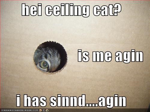 hei ceiling cat? is me agin i has sinnd....agin