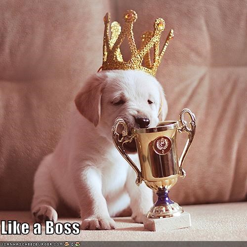 Like a Boss
