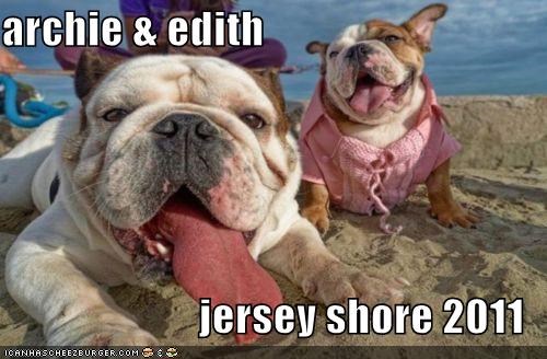 archie & edith